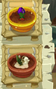 MayBee being watered in the Zen Garden