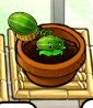 A small Melon-pult in Zen Garden