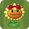 Sunflower wearing Solar Flare's Goggles