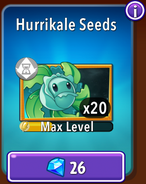 Hurrikale's seeds in the store (10.9.1, Adventure)