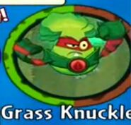 The player receiving Grass Knuckles from a Premium Pack