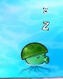 Sleeping Sea-shroom