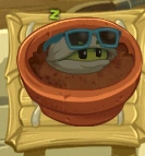 Pistachio sleeping in Zen Garden