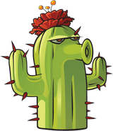 HD Cactus