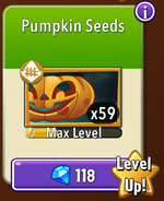 Pumpkin's seeds in the store (11.8.1, Level Up)