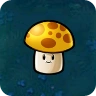 Sun-shroom1