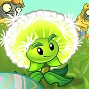 Dandelion in the Springening trailer