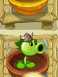 Repetidora regado.gif