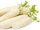 Resistant Radish