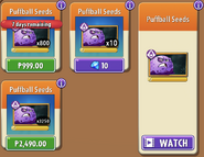 Puffball's seeds in the store (10.7.2, Special)