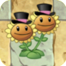 Twin Sunflower (top hats with pink stripes)