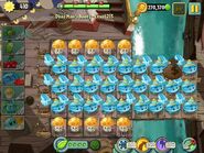 Level 213: Three rows of Winter Melons