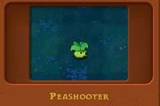 A mini-Peashooter replacing the Puff-shroom