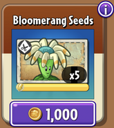 Bloomerang's seeds in the store (9.7.1)