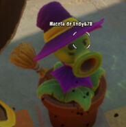 Another Peawitched Cannon