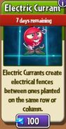 Electric Currant in the store