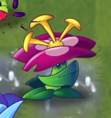 Unpowered Grimrose with three stamens in the Modern Day Part 2 Trailer