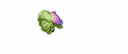 Animations of Headbutter Lettuce with costume attacking