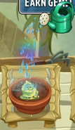 Solar Sage being watered in the Zen Garden