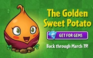 Advertisement about the return of Sweet Potato