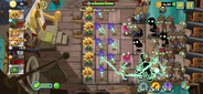 Level 31