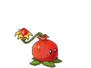 Pomegranate's Animations