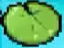 Lily Pad in the DS version