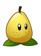 HD Pear