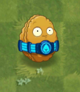 Wall-nut with Hero costume