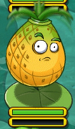 Pineapple on Lily Pad