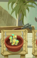 Electric Peel being watered in the Zen Garden (animated)
