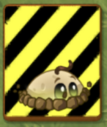 An endangered Levitater