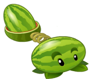 HD Melon-pult AS