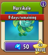 Hurrikale on sale