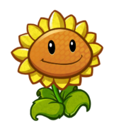 HD Sunflower