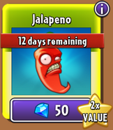 Jalapeno in the new store on sale