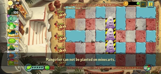 No Tangle Kelps on Shallow Puddles