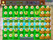 Gold Magnets with Marigolds for a money farm