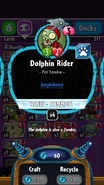 Dolphin Rider's statistics