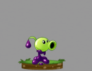Idle animation of Goo Peashooter