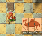 Plant Food effect (animation)