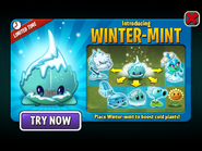 Winter-mint in an advertisement