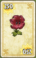 Endless Zone card