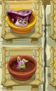 Bun Chi being watered in the Zen Garden