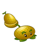 Muskmelon-pult (also called Cantaloupe-pult), which lobs muskmelons/cantaloupe.