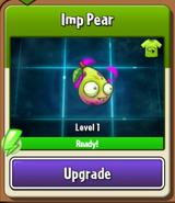 Imp Pear ready to level-up