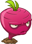 HD Beet.