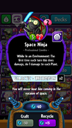 Space Ninja's statistics