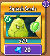 Squash's seeds in the store (Gold)