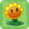 Sunflower3.png